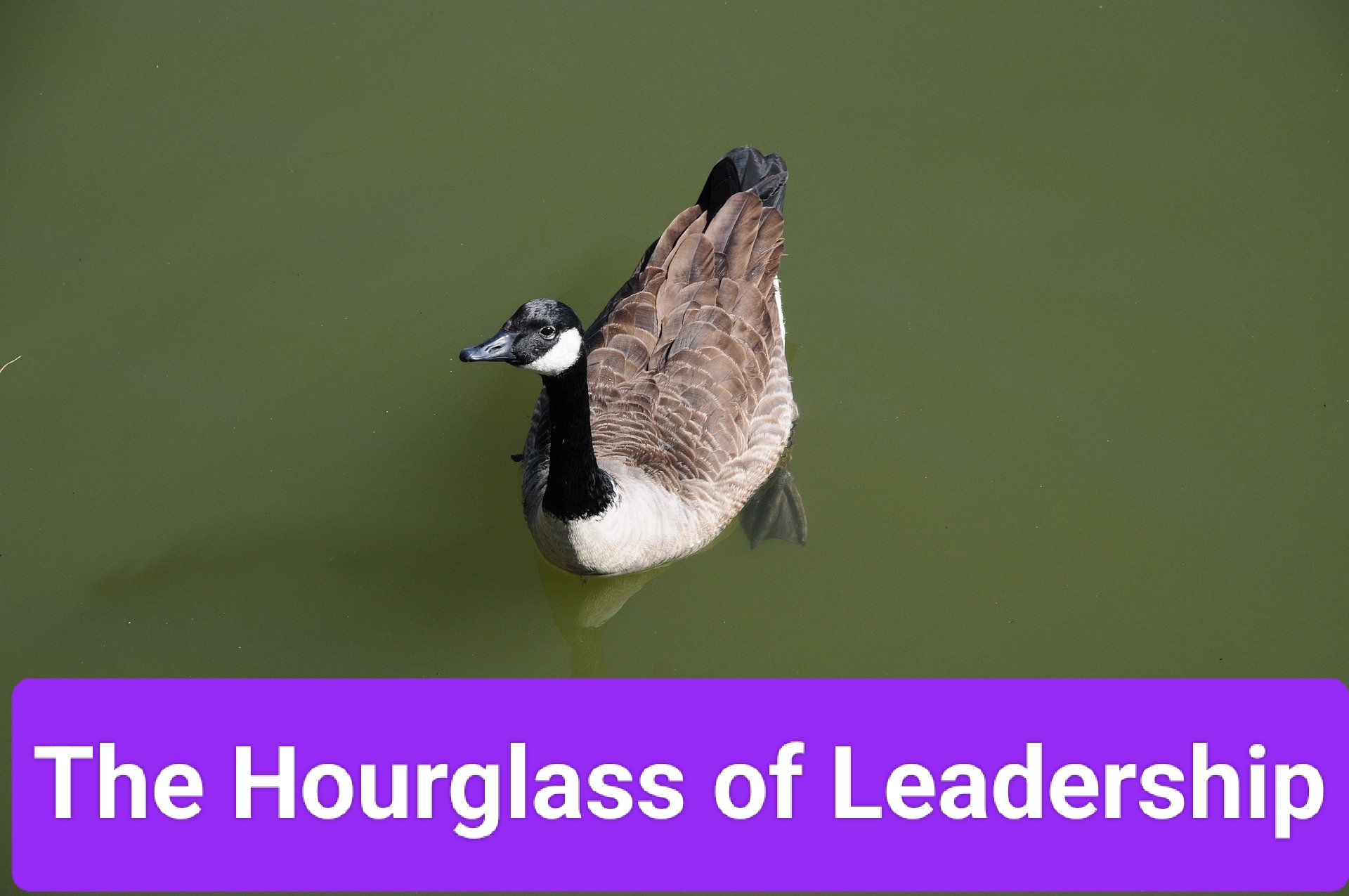 Leadership